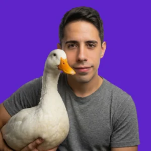 Creación de contenido desde 0