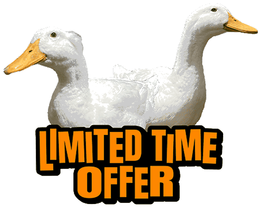 Nitro y Turbo Patos de Killer Style