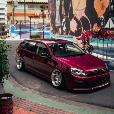berry purple polo